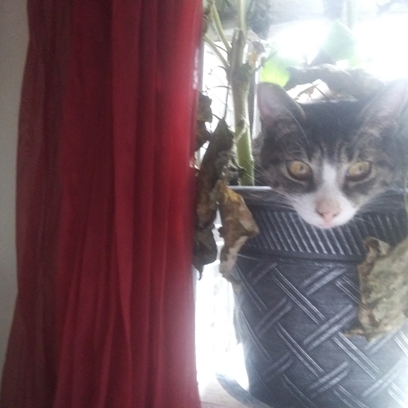 Meet your Posher, Theda. I *need* to sell here!! 😍❤️ - Picture 10 of 16